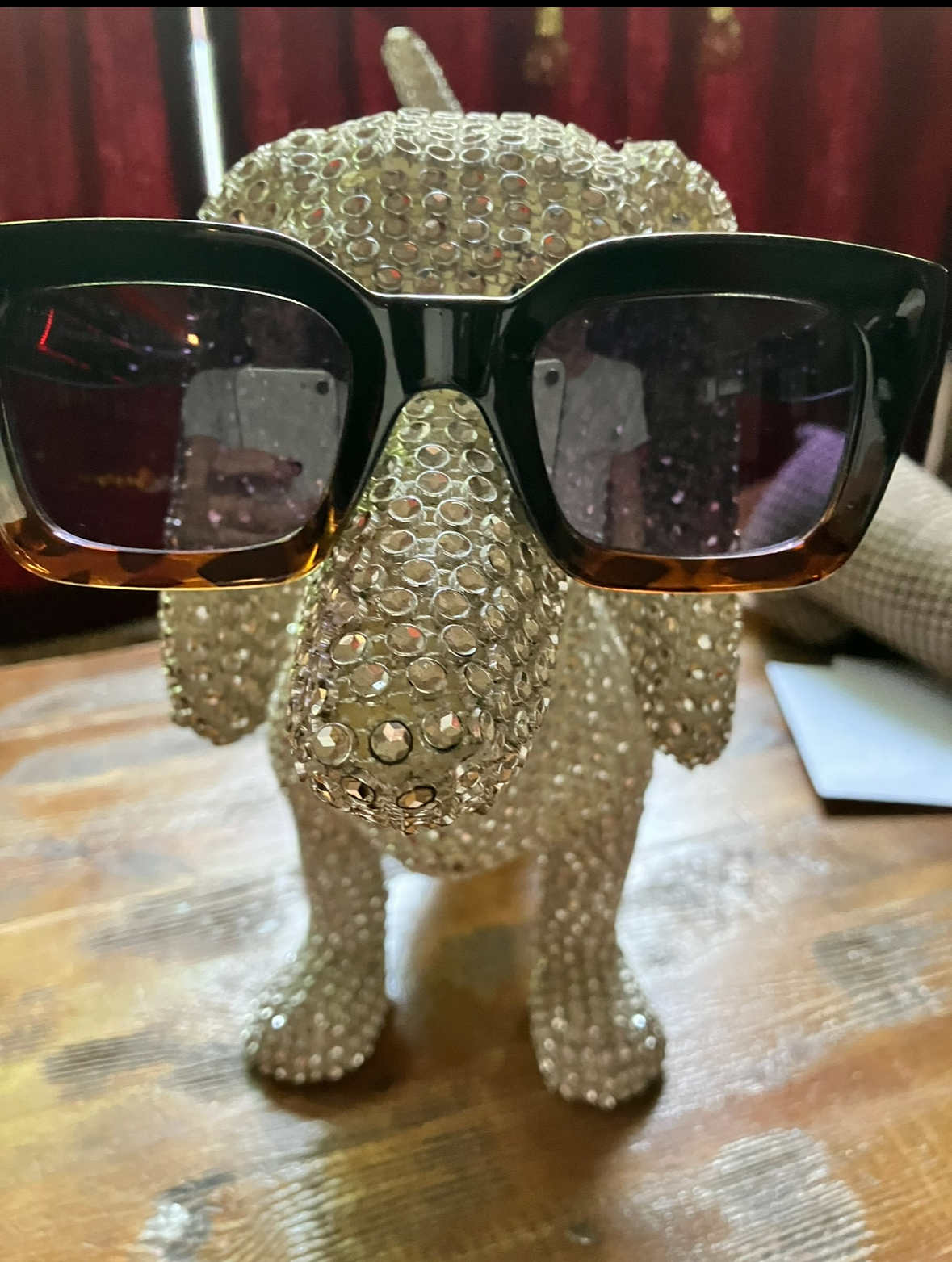 Foto aus dem Posh Teckel: Disco-Dackel